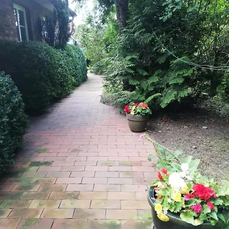 Im Friesenhaus Apartman